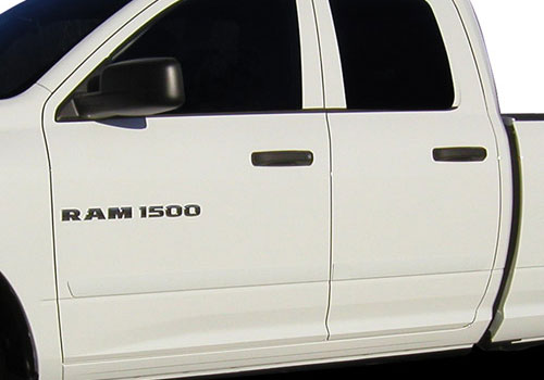 DEI Painted Body Side Molding 02-08 Dodge Ram Single Cab